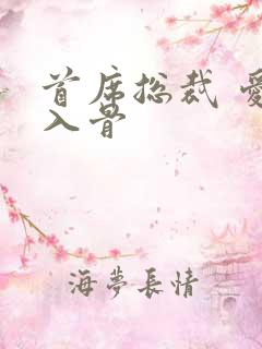 首席总裁 爱你入骨