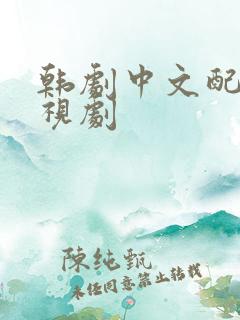 韩剧中文配音电视剧