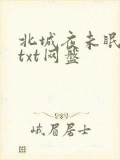 北城夜未眠小说txt网盘