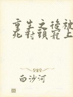 重生之后被渣男死对头宠上天视频