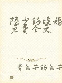 陆少的暖婚新妻免费全文