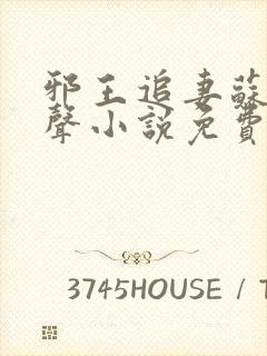 邪王追妻苏洛有声小说免费全本完整版