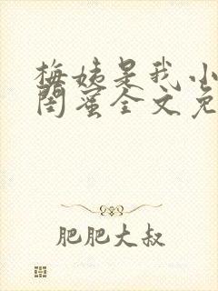 梅姨是我小妈的闺蜜全文免费阅读