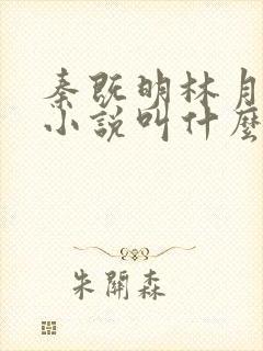 秦既明林月盈的小说叫什么名字