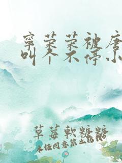 宁荣荣被唐三桶叫个不停小说