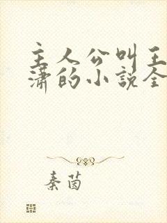 主人公叫王东唐潇的小说全文免费阅读笔趣阁