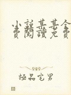 小说某某全文免费阅读免费