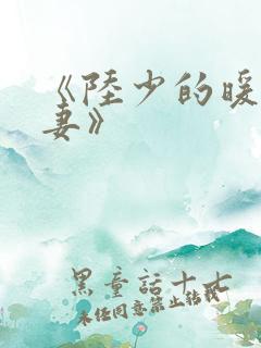 《陆少的暖婚新妻》