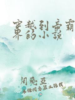 穿越到帝霸大世界的小说