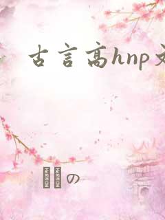 古言高hnp文