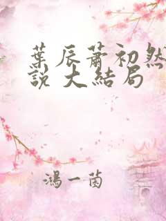 叶辰萧初然 小说 大结局