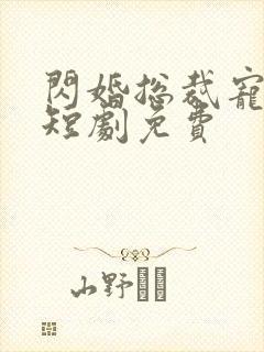 闪婚总裁宠上天短剧免费