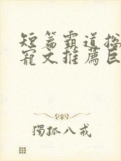 短篇霸道总裁甜宠文推荐巨甜