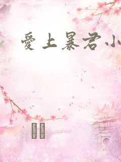 爱上暴君小甜心