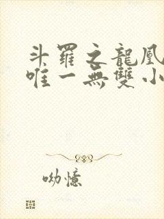 斗罗之龙凰传说唯一无双小说