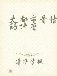 大都市爱情法讲的什么