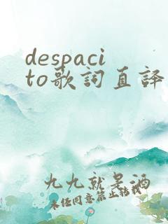 despacito歌词直译中文