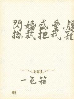 闪婚盛爱,腹黑总裁把我宠上天