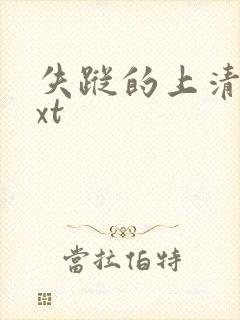 失踪的上清寺txt