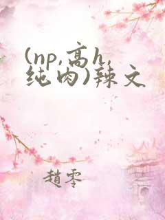 (np,高h,纯肉)辣文