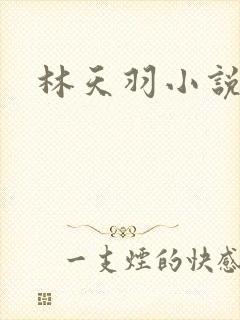 林天羽小说