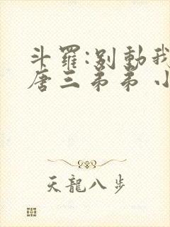 斗罗:别动我的唐三弟弟 小说完整