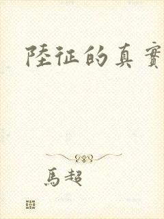 陆征的真实身份