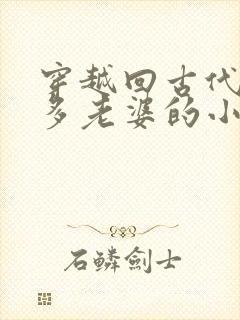 穿越回古代有很多老婆的小说