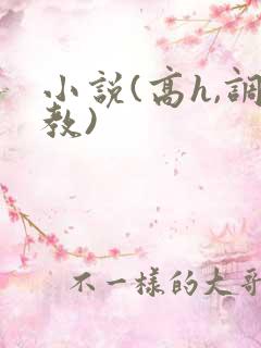 小说(高h,调教)