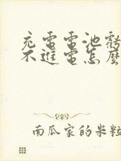 充电电池亏电充不进电怎么办