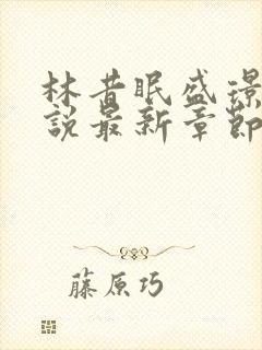 林昔眠盛璟承小说最新章节免费阅读