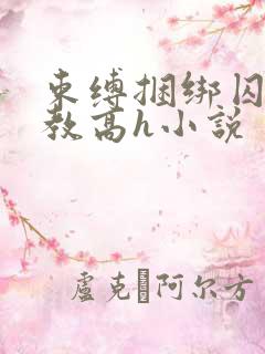 束缚捆绑囚禁调教高h小说