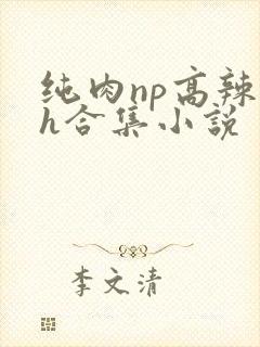 纯肉np高辣文h合集小说