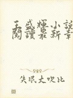 王盛辉小说免费阅读最新章节更新