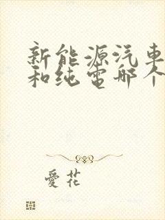 新能源汽车增程和纯电哪个好