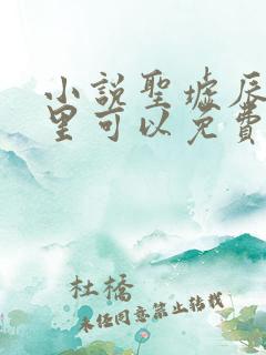 小说圣墟辰东哪里可以免费阅读