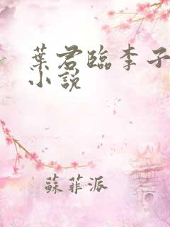 叶君临李子染的小说