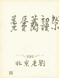 叶辰萧初然全文免费阅读小说最新