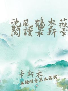 沈风鹤岑薇全文阅读最新章节