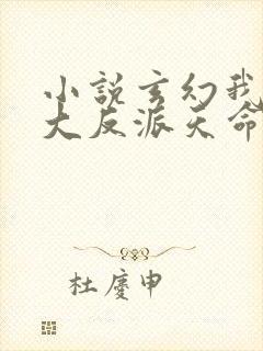 小说玄幻我天命大反派天命反派正版