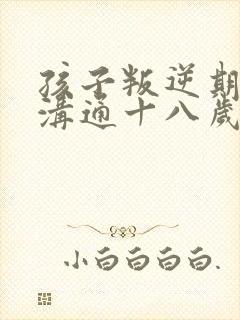 孩子叛逆期如何沟通十八岁的男孩儿