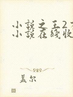 小说之王2有声小说在线收听