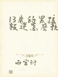 13岁的男孩子叛逆怎么教育好