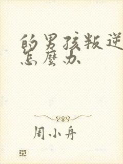 的男孩叛逆期该怎么办