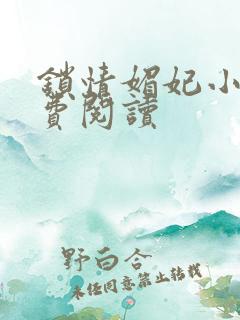 锁情媚妃小说免费阅读