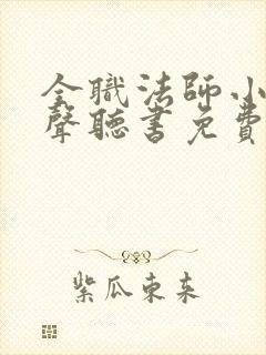 全职法师小说有声听书免费