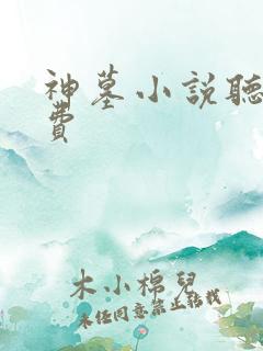 神墓小说听书免费