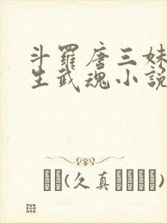 斗罗唐三妹妹双生武魂小说