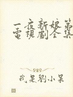 一夜新娘第一季电视剧全集免费观看