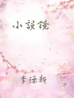小说镜